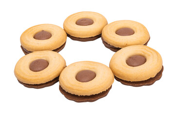 double chocolate chip cookie isolated