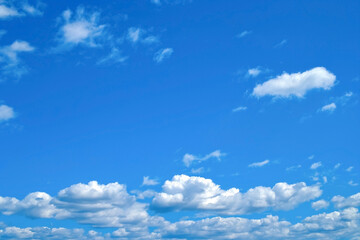 Naklejka na ściany i meble 爽やかな青空の下に群れる積雲