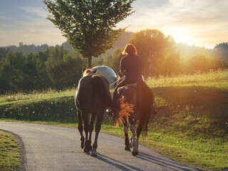 A rider with a near horse rides on a rural road during sunset