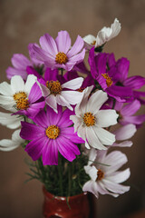 Bouquet of pink and white cosmos 