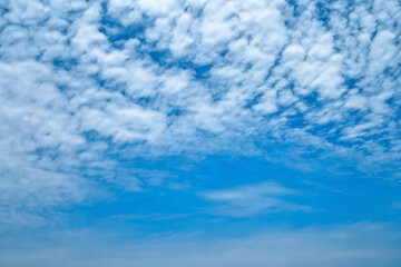 上空に高積雲が広がる青空 - obrazy, fototapety, plakaty