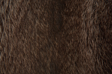 Textur Fell und Pelz.