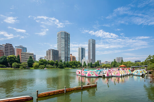 Japan, Kanto Region, Tokyo, Pedal boats moored on shore of Shinobazu Pond in summer