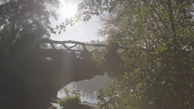 Tree branch romantic bridge at Majolan Park lake in Blanquefort France with sun shining above trees, Locked shot