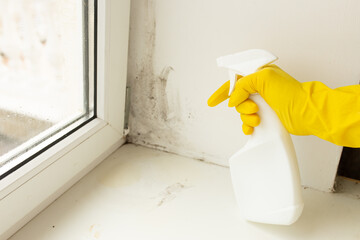 pest control, a person sprays a remedy for mold and other pests on the win of the windows