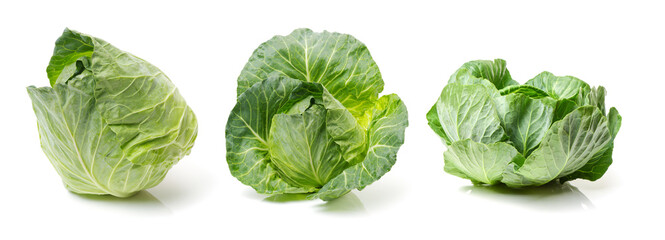 cabbage on a white background