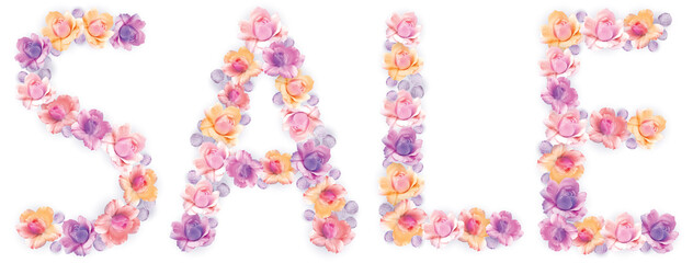 Sale - botanical rose flowers romantic cute illustration.