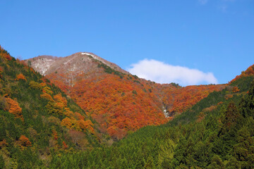 紅葉と緑の山