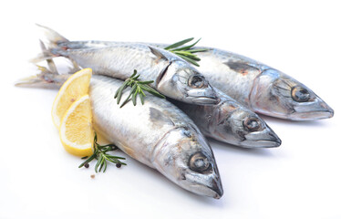 Fish mackerel with lemon and rosemary on white background