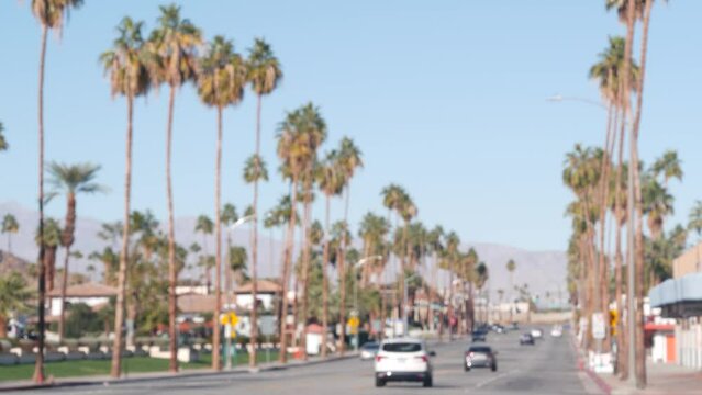 Defocused palm trees, sunny Palm Springs city street traffic, vacations resort near Los Angeles, California, USA. Arid climate desert oasis in mountains valley, summer road trip vibes. Cars driving.