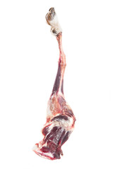 a dry raw meat leg of lamb isolated on white background