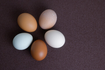 卵いろいろ