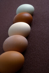 卵いろいろ