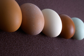 卵いろいろ