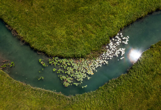 Drone view of water lilies growing inZellerAche river