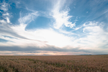 Obraz premium Beautiful sunset in palermo and sky with clouds.