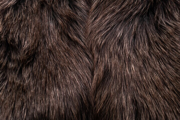 Natural arctic fox fur. The texture of the fur.