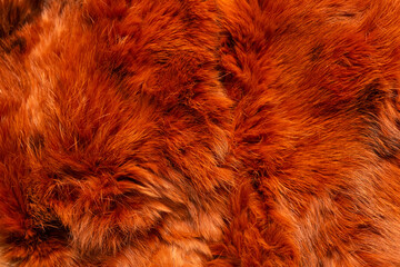 Natural fur of a red rabbit. Background, fur texture. - obrazy, fototapety, plakaty