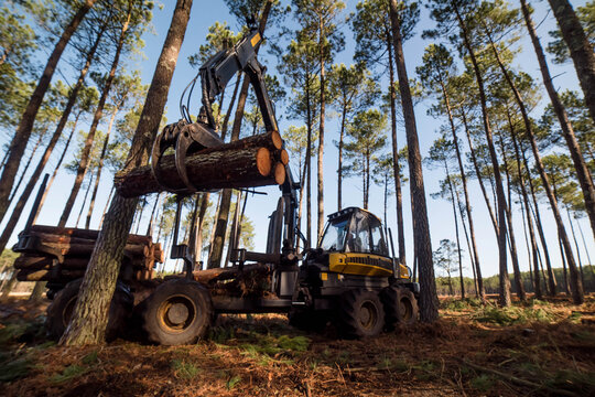porter for logging, picking up pine logs for storage