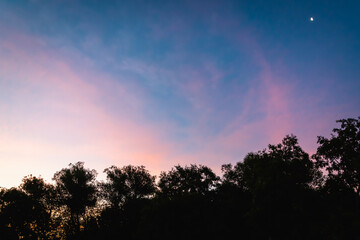 Fototapeta na wymiar Sunset over the silhouettes of trees.
