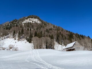 Forest-rocky alpine hill Mittelberg on the slopes of the Alpstein massif and above the Obertoggenburg valley - Alt St. Johann, Switzerland (Schweiz)