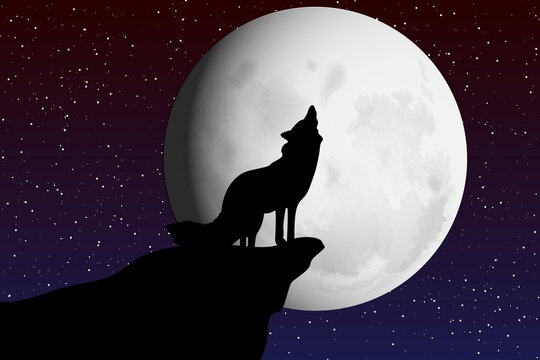 cute wolf and moon silhouette illustration
