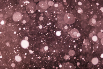 Night snowflakes on a dark background.