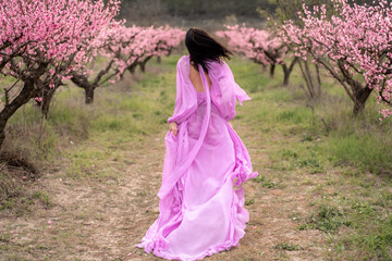 A woman in a long pink dress walks in the park, in a peach orchard. Large blooming peach orchard.