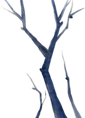 Fototapeta premium A tree branch. A blue, gnarled branch, without leaves