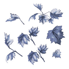 Young maple leaves. Set of 7 bundles
