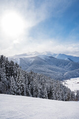 Fototapeta na wymiar Beautiful landscape of the Arkhyz ski resort with mountains, snow, forest and track on a sunny winter day. Caucasus Mountains, Russia. Vertical orientation
