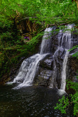飛騨高山　夏の県立自然公園　宇津江四十八滝
