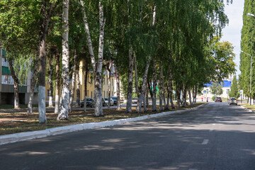 City street with green trees.