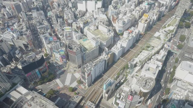 渋谷の風景動画