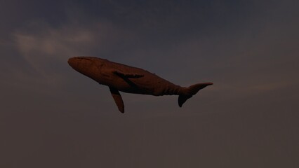 sky whale