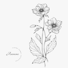 Trendy wedding flowers for logo or decorations. Hand drawn line wedding decoraton, elegant leaves for invitation save the date card. Botanical rustic trendy greenery