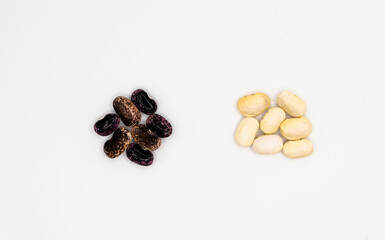 Dried beans isolated on white background. bean pods