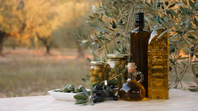 Composition of olive tree branch, bottles with olive oil and preserved olives in jar on table outdoors.