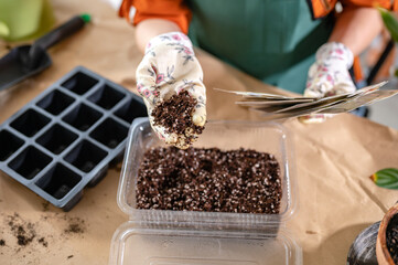 A woman starting seed indoors during winter and in the early springtime. Starting seeds indoors