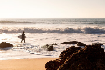 surfer walking along the shore with his board