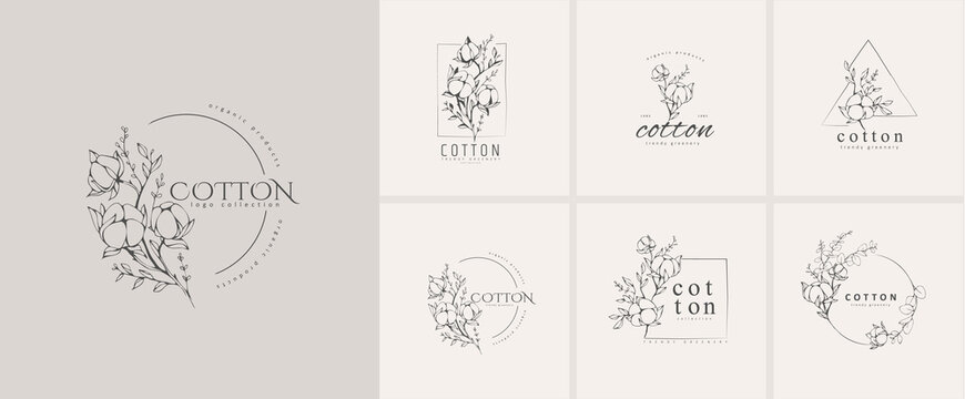 Cotton plant logo and branch. Hand drawn line wedding herb, elegant leaves for invitation save the date card. Botanical rustic trendy greenery