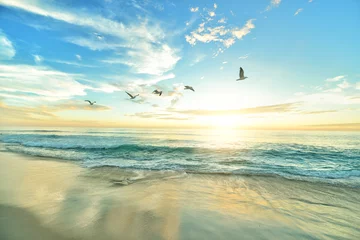 Foto auf Alu-Dibond sunset on the beach © крутые обзоры