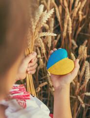 Child in a wheat field. In vyshyvanka, the concept of the Independence Day of Ukraine. Selective...