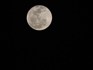 full moon in the night