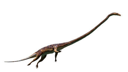 swimming Tanystropheus, extinct reptile from the Middle to Late Triassic epochs, isolated on white background 