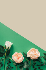 Spring visual made of flowers and leaves. Rose flowers arranged on beige and green background. Minimal spring concept with copy space. Natural flat lay.