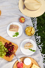 leisure and eating concept - close up of food or snacks on picnic blanket in summer garden