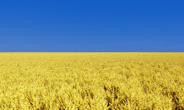 a landscape with Ukraine flag colors