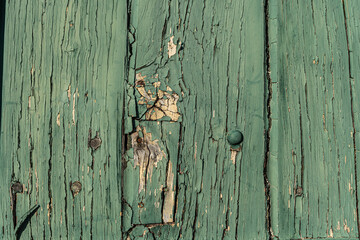 Old wood texture distressed grunge background, scratched green paint on planks of wood wall