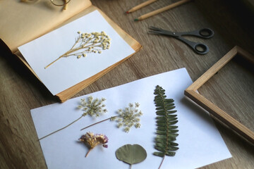 Old book, papers, various pressed flowers, eyeglasses, scissors, pencils and rope on wooden desk. Crafting and making herbarium at home. Selective focus.